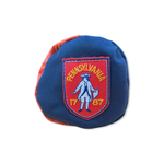 Load image into Gallery viewer, The Penn |  Vintage Patch Series Fairway Cover

